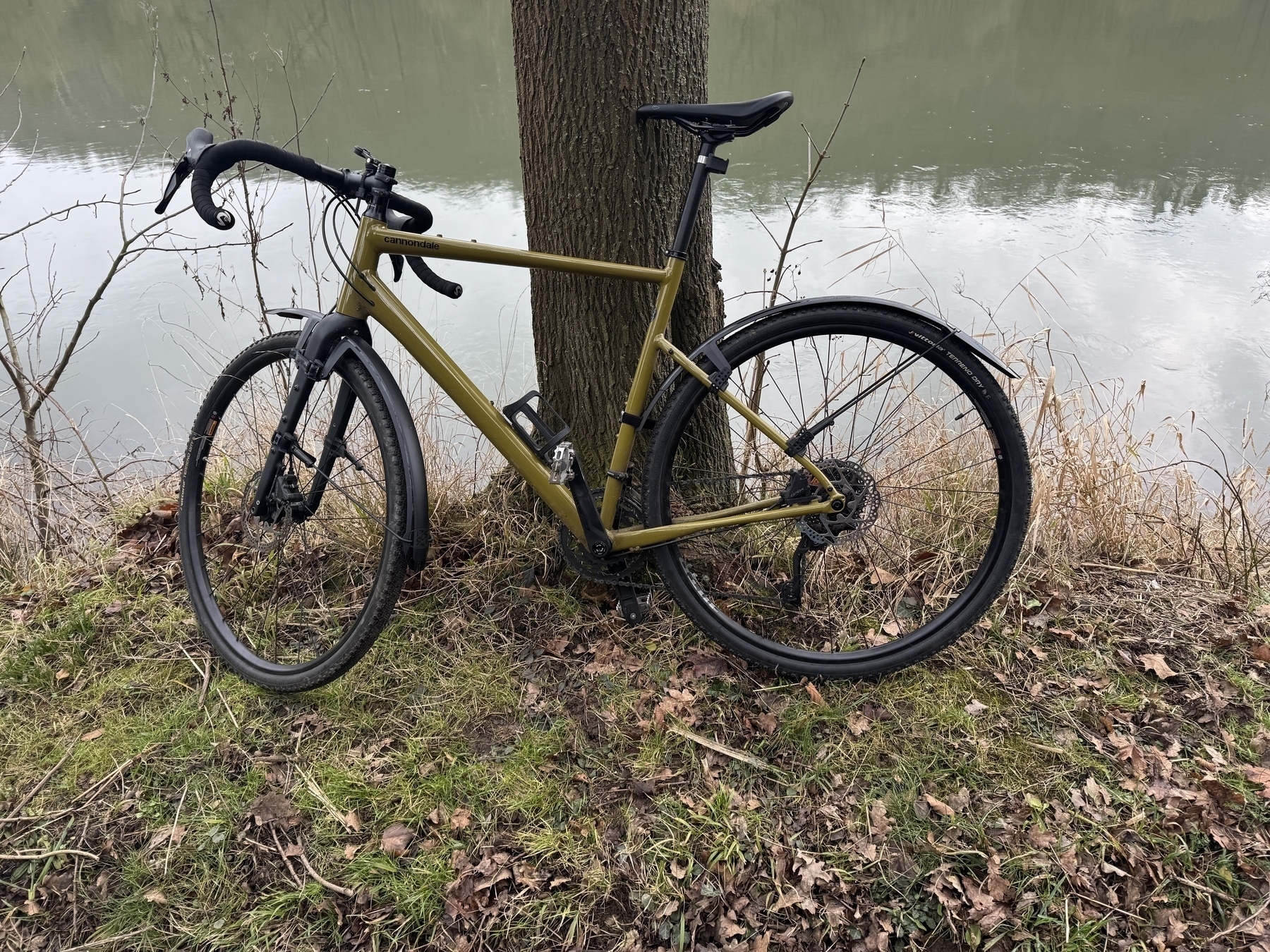 A bicycle is leaning against a tree next to a body of water surrounded by grass and leaves.