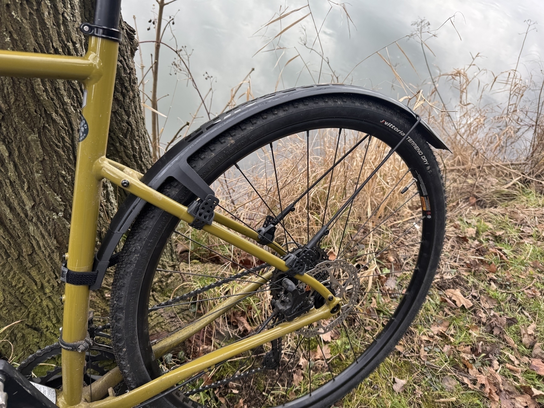 A bicycle is leaning against a tree next to a body of water, surrounded by dried grass and leaves.